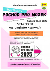 Pochod pro mozek.jpg