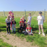 Pochod pro mozek 2.jpg